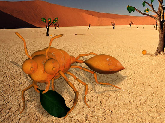 Orange ant 