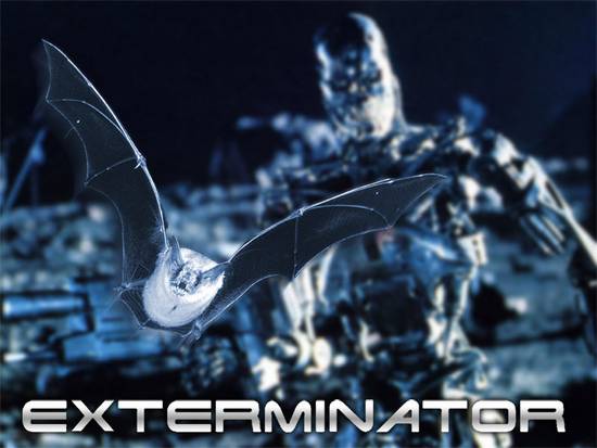 the exterminator