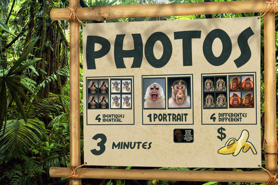 Jungle Photo Booth!!