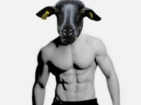 Buh Buh Buffed Sheep