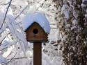 Winter Bird House