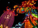 Chinese Lantern Festival