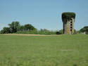 Overgrown Tower