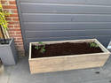 Box Planter