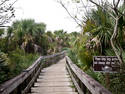 Marsh Trail