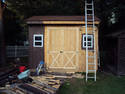 Painting The Shed