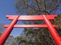 Torii