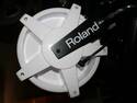 Roland Device