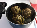 Boiling Artichokes