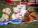 Teddy Bears Picnic