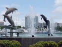 Dolphin Fountain