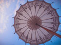 Parasol, 5 entries