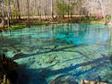 Ginnie Springs