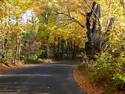 Autumn Road