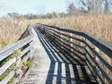 Marsh Walkway