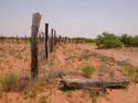 Range Fence