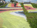 Rainbow Tarp