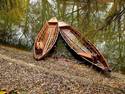 Docked Wooden Boats