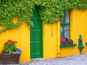 Green Door And Ivy