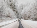 Winter Road