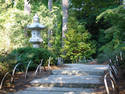 Garden Steps