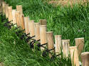 Bamboo Fence