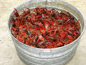 Washtub O Crawfish