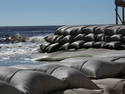 Beach Bags