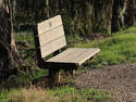 Sunny Bench