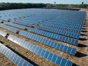 Solar Farm