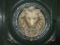 Lion Knocker