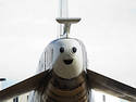 Happy Plane Is Happy