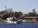 Shrimp Boat Trouble