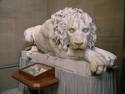 Stone Lion