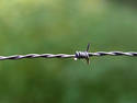 Barbed Wire