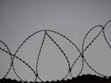 Razor Wire