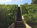 Dune Stairs