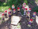 Hot Gnomes