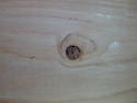 Wood Knot