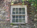 Rotting Window