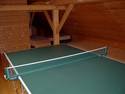 Ping Pong Table