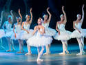 Swan Lake