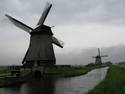 Foggy Windmills