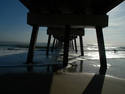 Under the Pier