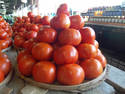 Stacked Tomatoes