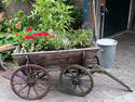 Flower Wagon