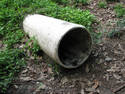 Woodland Culvert