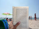 Beach Reader