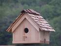 Bird House