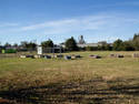 Community Farm